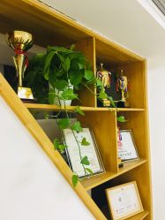 -babiline芭比莱恩半永久纹眉纹唇发际线
