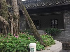 -星巴克臻选(成都宽窄巷子店)