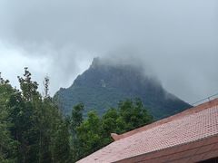 -天龙顶山地公园
