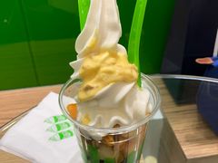 萨奴姆-Salud撒露欧洲冻酸奶(蓝色港湾店)