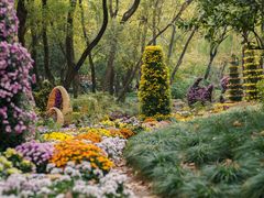 -上海共青森林公园