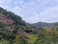 -云溪植物园