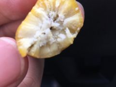 -陈记栗子(长宁路店)