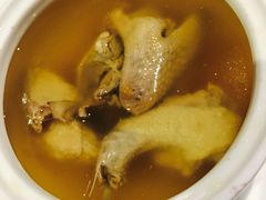 -雨林餐厅(长隆海洋王国店)