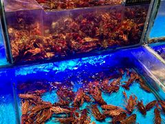 -SEA西雅图海鲜自助餐厅(海乐世界店)