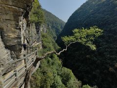 -蝶舞清江·恩施地心谷景区