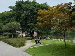 -桂湖森林公园