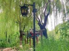 -张家油条