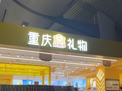 -重庆江北国际机场-T2航站楼