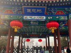 -莲花池公园