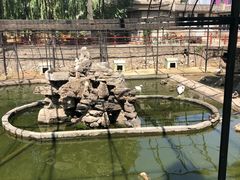 -保定市动物园