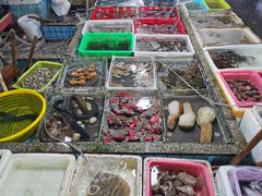 -霞涌市场海鲜摆卖区