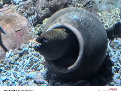 -秦皇岛新澳海底世界