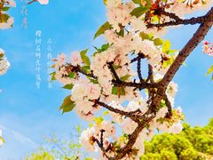 -江南大学(蠡湖校区)