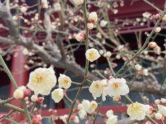 -楚望台遗址公园