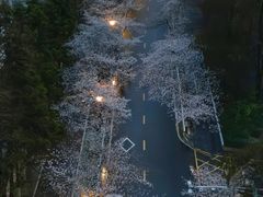-鸡鸣寺