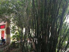 -崇仁路小学