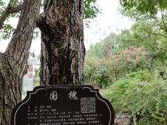 -聚龙湖公园