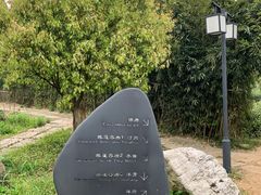 -帐篷客·溪龙茶谷度假酒店