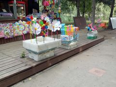 -长白岛森林公园