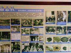 -南京钟山宾馆(江苏省会议中心)