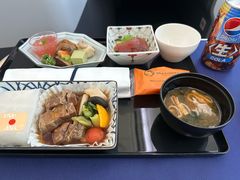 -全日本空输株式会社(上海办事处)