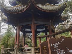 -峨眉山报国寺