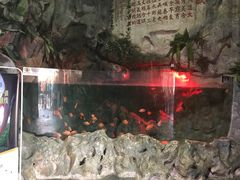 -苏州海洋馆