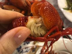 -袁老大龙虾(石鼓路总店)