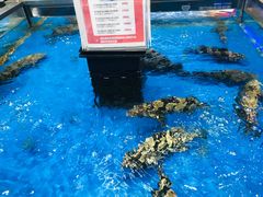 -盒马鲜生(龙德广场店)