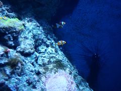 -成都浩海立方海洋公园