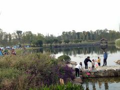 -白鹭湾湿地公园