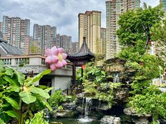 -顺德渔村·岭南一号