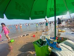 -碧海金沙