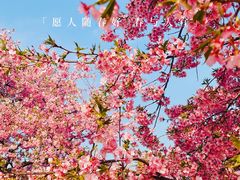 -上海辰山植物园