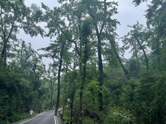 -岳麓山风景名胜区