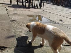 -壹华里市集