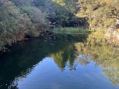 -国家植物园南园