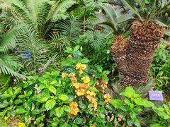 -国家植物园南园