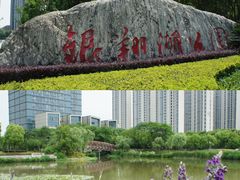-南翔镇银翔湖公园