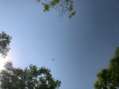 -东郊湿地公园