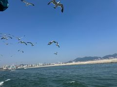 -刘公岛景区