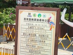-西双版纳原始森林公园
