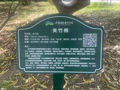 -西安浐灞国家湿地公园