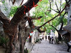 -重庆十八梯传统风貌区