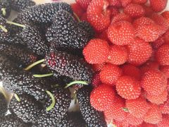 -旅马餐厅(茅家埠店)