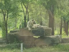 -秦皇岛野生动物园