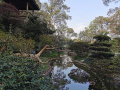 -南山植物园