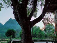 -村上春树
