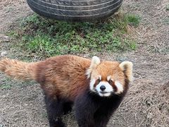 -宁波野生动物园